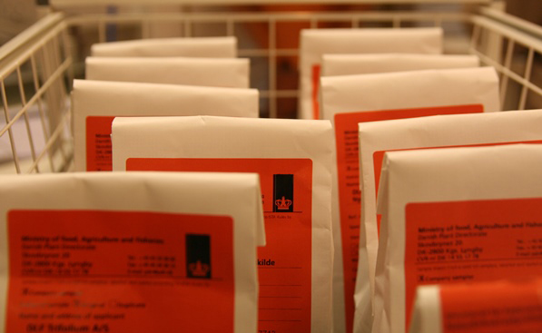 Sampling bags with the seeds for testing